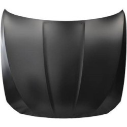 Bonnet DIEDERICHS 1225001 OE Ref 41617207194