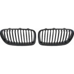 Radiator Grille DIEDERICHS 1225440