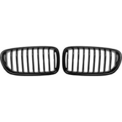 Radiator Grille DIEDERICHS 1225540