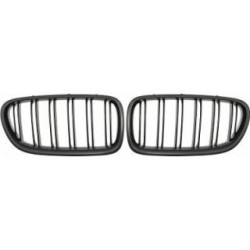 Radiator Grille DIEDERICHS 1225741