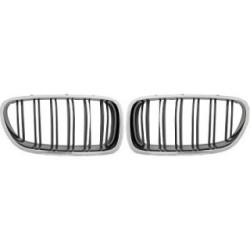 Radiator Grille DIEDERICHS 1225742