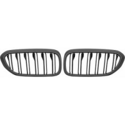 Radiator Grille DIEDERICHS 1226241