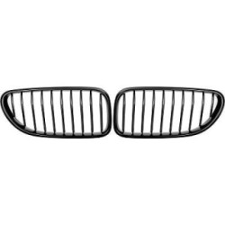Radiator Grille DIEDERICHS 1231340