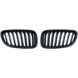 Radiator Grille Insert DIEDERICHS 1235240