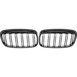 Radiator Grille Insert DIEDERICHS 1240241