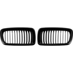 Radiator Grille DIEDERICHS 1242240