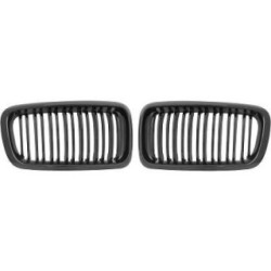 Radiator Grille DIEDERICHS 1242440