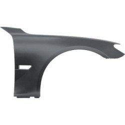 Wing (Fender) DIEDERICHS 1244006 OE Ref 41007204496