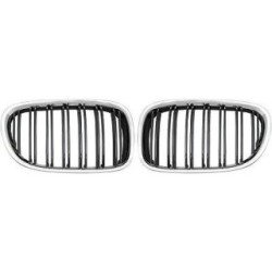 Radiator Grille DIEDERICHS 1244240