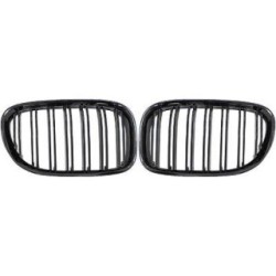 Radiator Grille DIEDERICHS 1244440