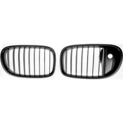 Radiator Grille DIEDERICHS 1244540