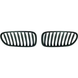 Radiator Grille DIEDERICHS 1251340