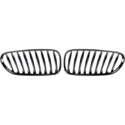 Radiator Grille DIEDERICHS 1251341