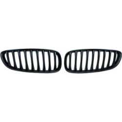 Grille de radiateur 1251540 pour BMW Z4