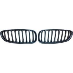 Radiator Grille DIEDERICHS 1251740