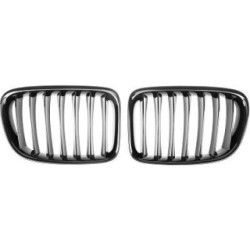 Radiator Grille DIEDERICHS 1265341
