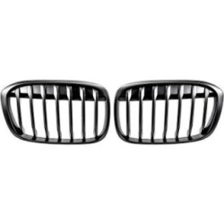 Radiator Grille DIEDERICHS 1266240