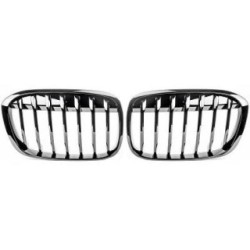Radiator Grille DIEDERICHS 1266241