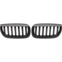 Radiator Grille DIEDERICHS 1275340