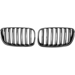 Radiator Grille DIEDERICHS 1275441