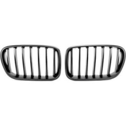 Radiator Grille DIEDERICHS 1276340