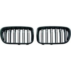 Radiator Grille DIEDERICHS 1276440