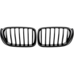 Radiator Grille DIEDERICHS 1276540