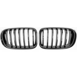 Grille de radiateur 1276541 pour BMW X3