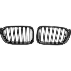 Radiator Grille DIEDERICHS 1276542