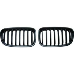 Radiator Grille DIEDERICHS 1281240
