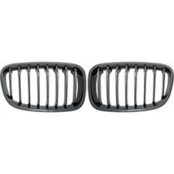 Radiator Grille DIEDERICHS 1281341