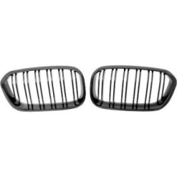Radiator Grille Insert DIEDERICHS 1281741