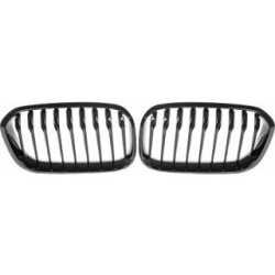 Radiator Grille DIEDERICHS 1281941