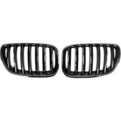 Radiator Grille DIEDERICHS 1290541