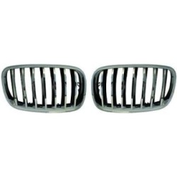 Radiator Grille DIEDERICHS 1291240