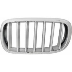 Grille de radiateur 1293043 pour BMW X5 OE 51117303107