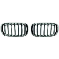 Radiator Grille DIEDERICHS 1293240