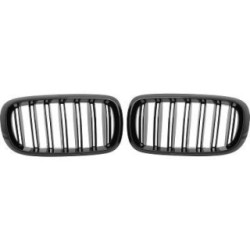 Radiator Grille Insert DIEDERICHS 1293341