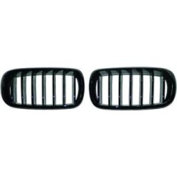 Radiator Grille DIEDERICHS 1293440