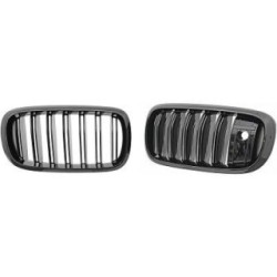 Radiator Grille Insert DIEDERICHS 1293441
