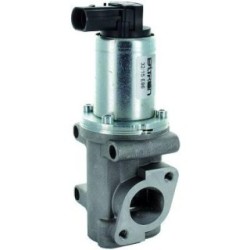 EGR Valve DIEDERICHS 1301007 OE Ref 46778209