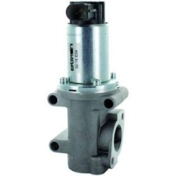 EGR Valve DIEDERICHS 1301010 OE Ref 50109013