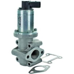 EGR Valve DIEDERICHS 1301014 OE Ref 55194735