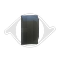 Quarter Panel Trim Strip DIEDERICHS 1457031 OE Ref 1844923