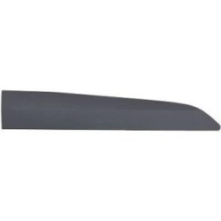 Door Trim Strip DIEDERICHS 1476668 OE Ref 1835325