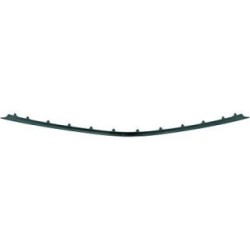 Radiator Grille Trim Strip DIEDERICHS 1615161 OE Ref A2118850023