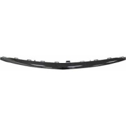 Bumper Trim Strip DIEDERICHS 1618364 OE Ref A2138857800