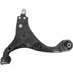 Control Trailing Arm DIEDERICHS 1655301 OE Ref 545002H100