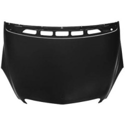 Bonnet DIEDERICHS 1685100 OE Ref 169 880 03 57