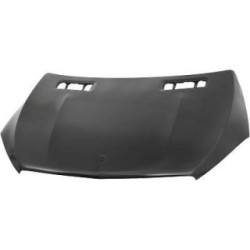Bonnet DIEDERICHS 1692100 OE Ref A 292 880 00 57